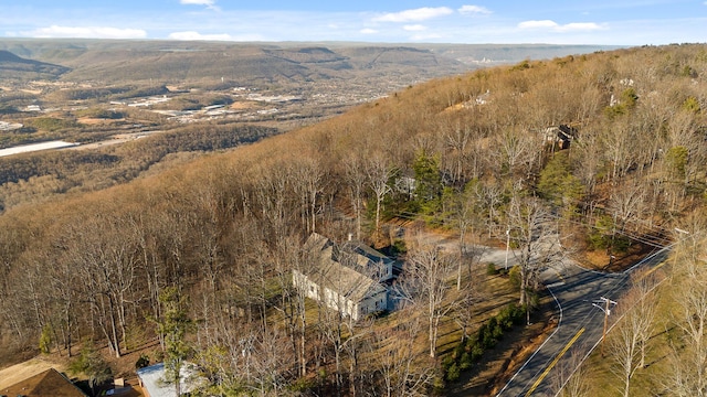 aerial view with a mountain view