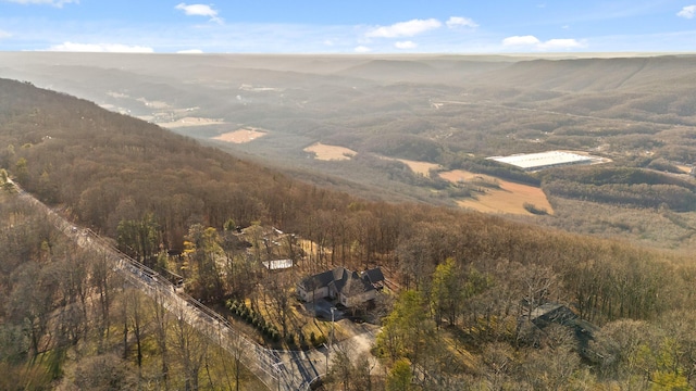 aerial view with a mountain view