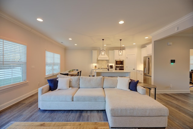 living room with sink, ornamental molding, and dark hardwood / wood-style floors