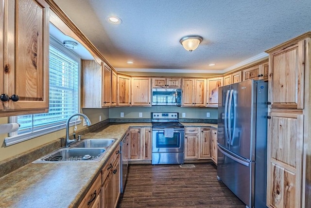 kitchen with dark wood-type flooring, sink, crown molding, a textured ceiling, and appliances with stainless steel finishes