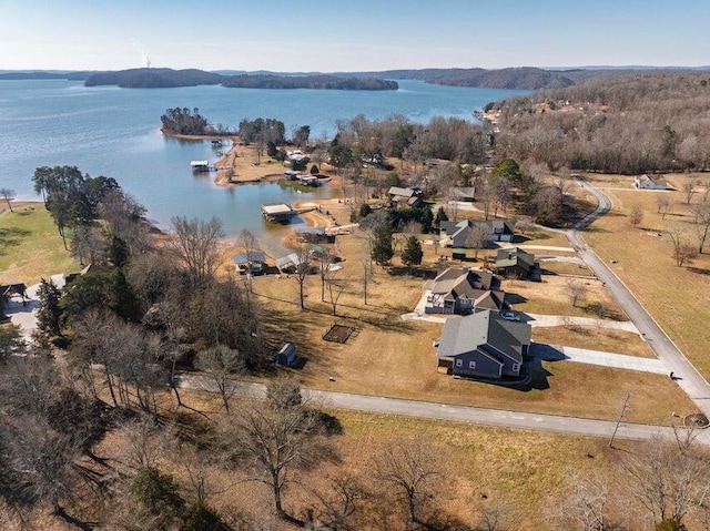 bird's eye view featuring a water and mountain view