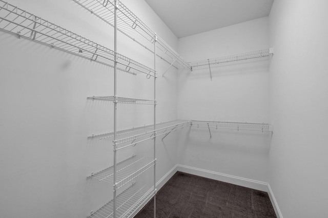 walk in closet with dark carpet