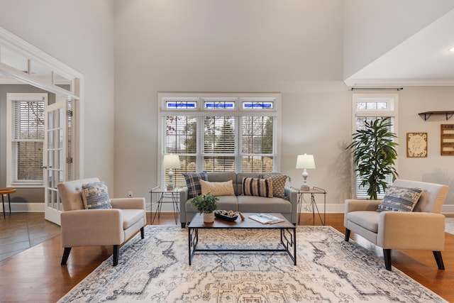 living room featuring a towering ceiling and hardwood / wood-style floors