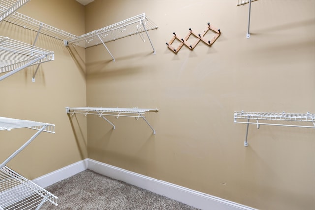 spacious closet featuring carpet