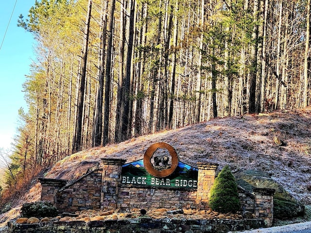 0 Black Bear Ridge Rd, Ellijay GA, 30536 land for sale