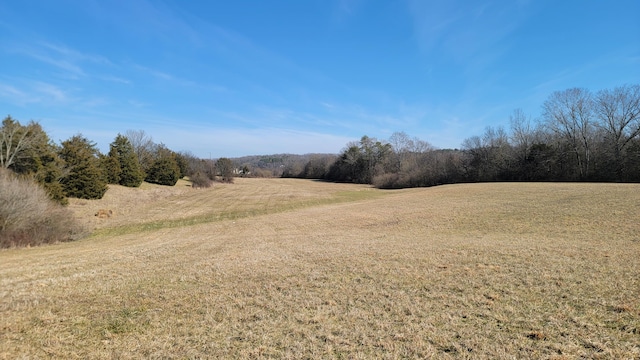 0 N Lee Hwy, Charleston TN, 37310 land for sale