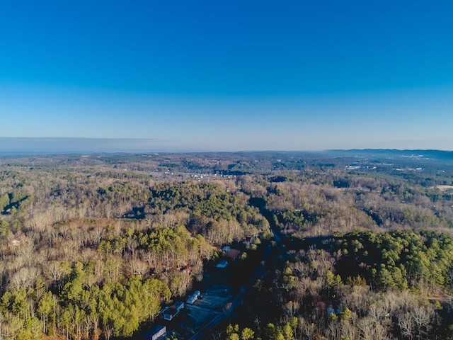 bird's eye view