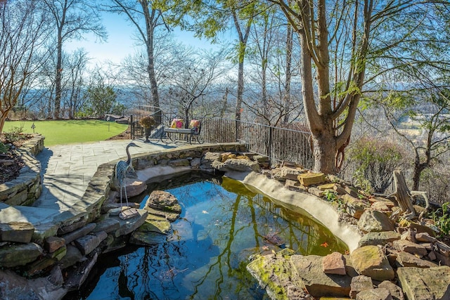 view of pool with a patio and a garden pond