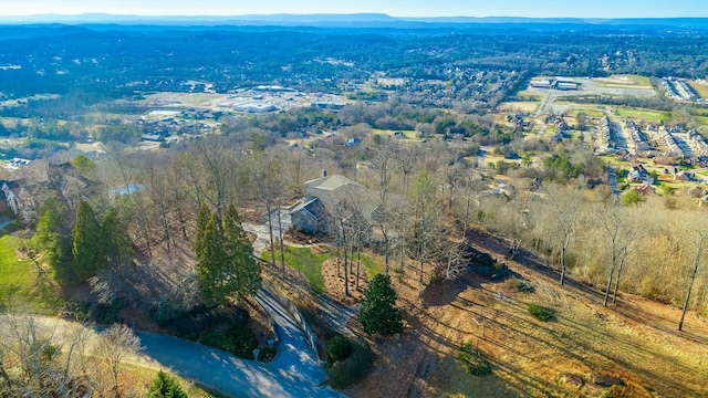 aerial view with a mountain view