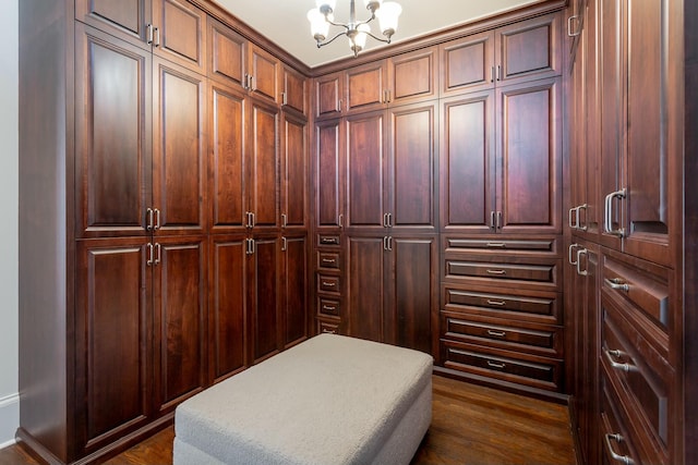 walk in closet with dark wood-type flooring and a chandelier