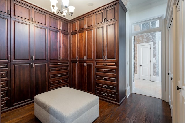 spacious closet with a chandelier and dark hardwood / wood-style flooring