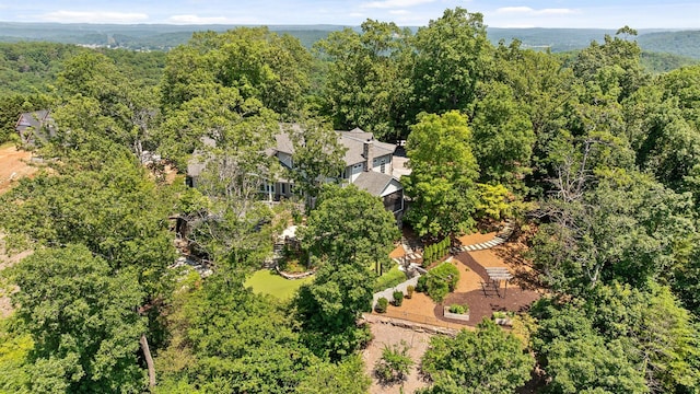 2241 Heavenly Vw, Ooltewah, TN 37363 - photo 74