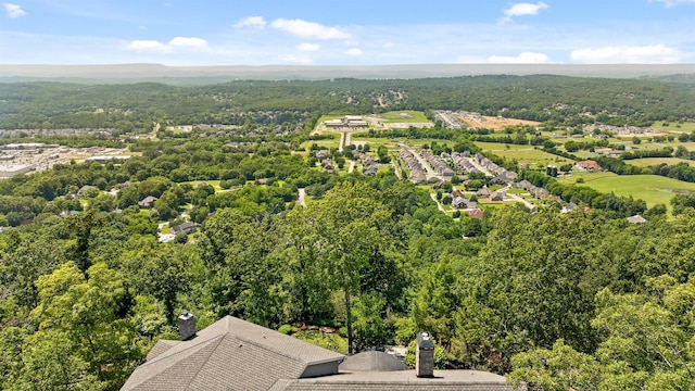 2241 Heavenly Vw, Ooltewah, TN 37363 - photo 86
