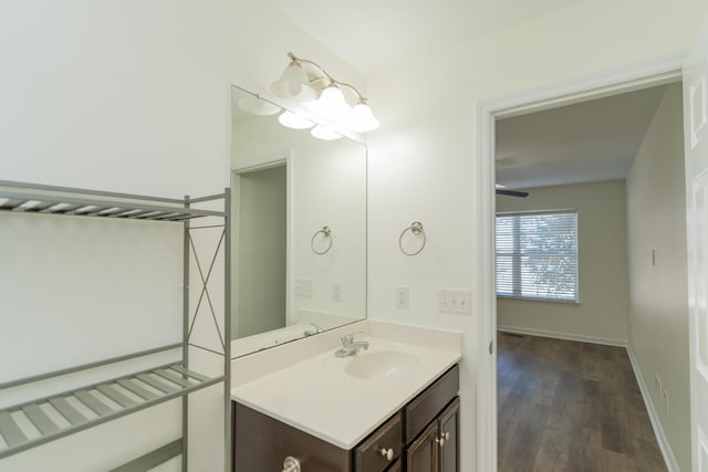 bathroom featuring hardwood / wood-style flooring and vanity