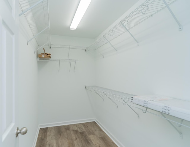 spacious closet featuring hardwood / wood-style floors