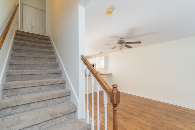 stairway with wood-type flooring and ceiling fan