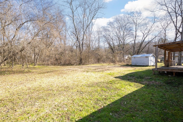 view of yard featuring a storage shed