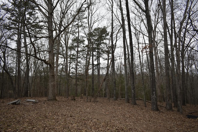 view of local wilderness