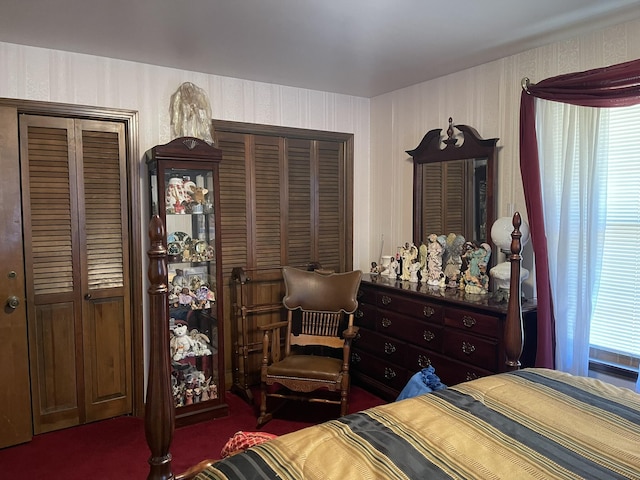 bedroom with multiple windows, two closets, and dark carpet