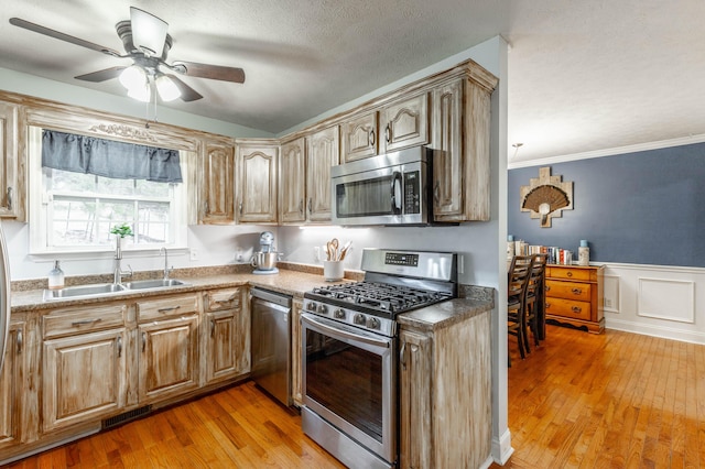 kitchen with sink, light wood-type flooring, ceiling fan, and appliances with stainless steel finishes