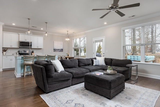 living room featuring crown molding, dark hardwood / wood-style floors, and ceiling fan with notable chandelier