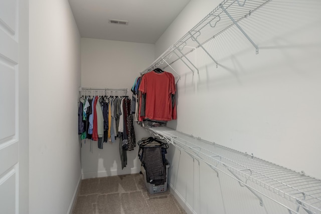 spacious closet with light carpet