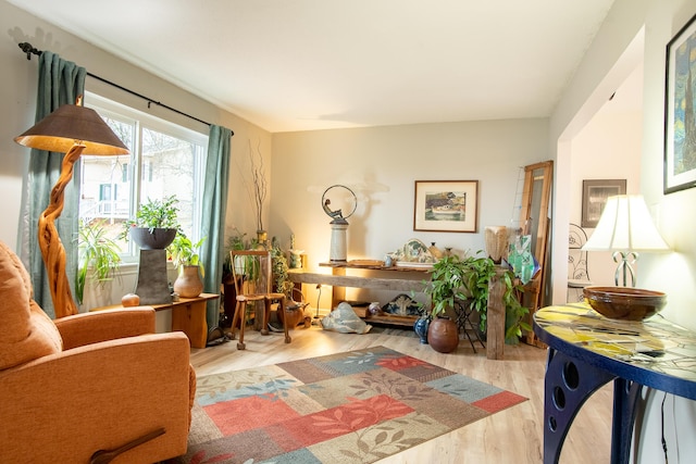 sitting room featuring light wood-type flooring