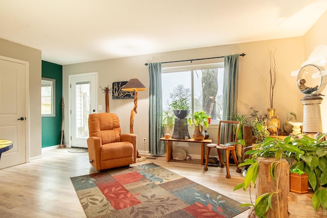 living area with light hardwood / wood-style flooring