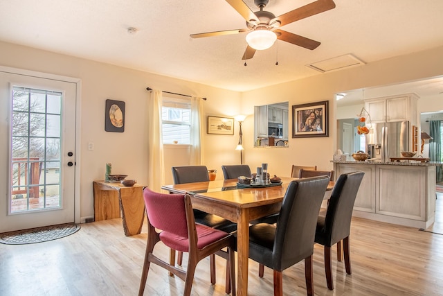 dining space with ceiling fan and light hardwood / wood-style flooring