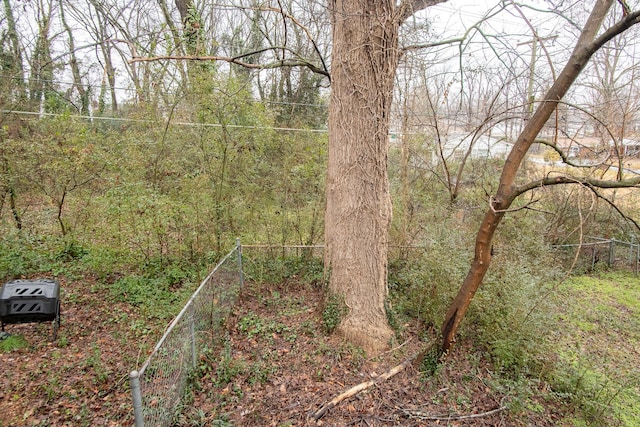 view of local wilderness