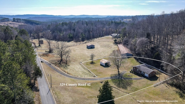 drone / aerial view with a mountain view