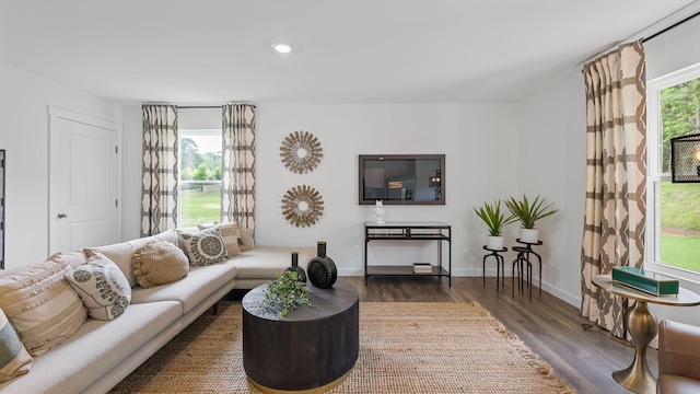 living room with plenty of natural light and dark hardwood / wood-style flooring