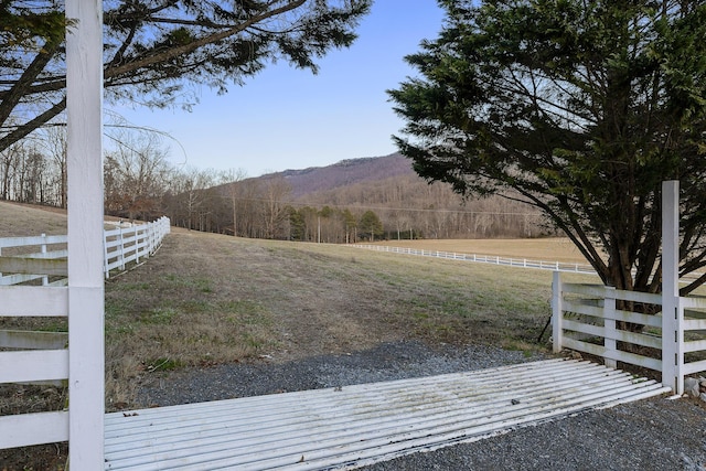 view of yard featuring a mountain view and a rural view