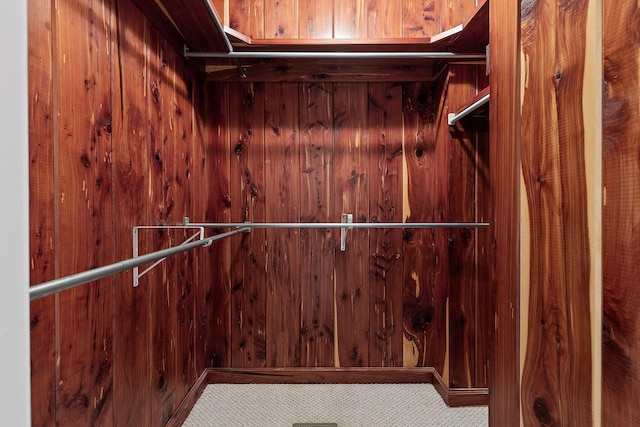 spacious closet with carpet floors