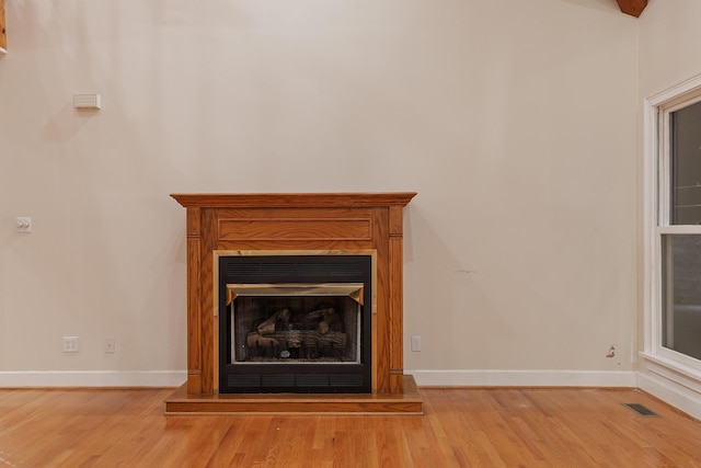 room details with hardwood / wood-style floors