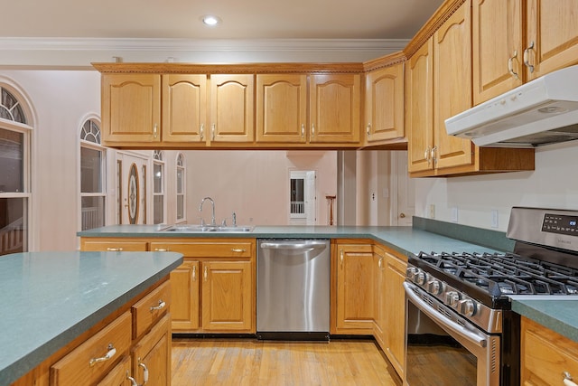 kitchen featuring stainless steel appliances, ornamental molding, sink, and light hardwood / wood-style flooring