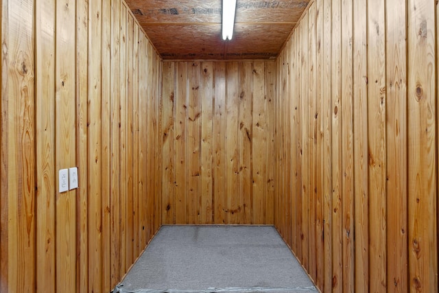 interior space with wood walls