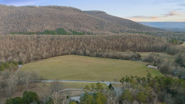 view of mountain feature featuring a rural view