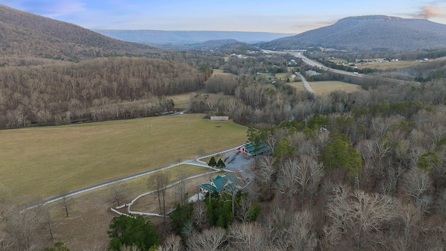 birds eye view of property featuring a mountain view and a rural view