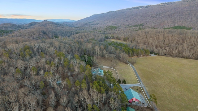 birds eye view of property featuring a mountain view