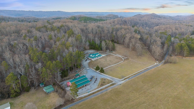 aerial view at dusk with a mountain view