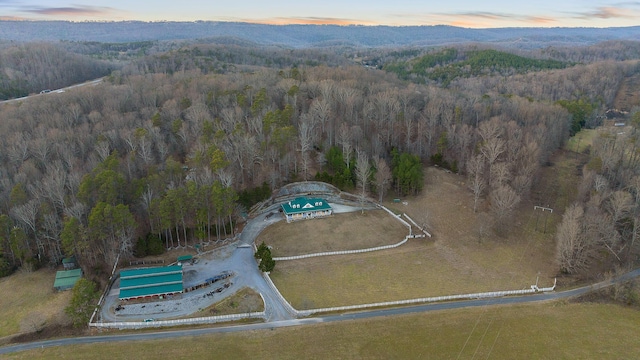 aerial view at dusk featuring a mountain view