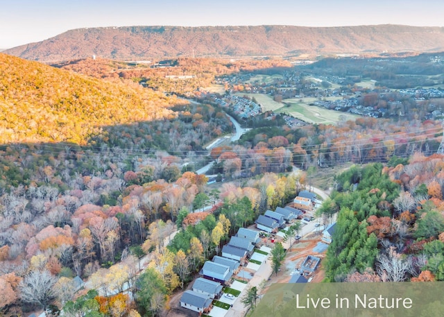 birds eye view of property with a mountain view