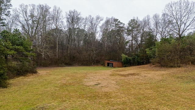 view of yard with an outbuilding