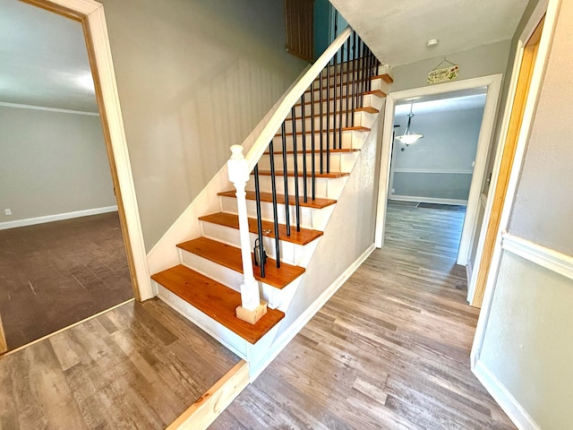 stairs with wood-type flooring