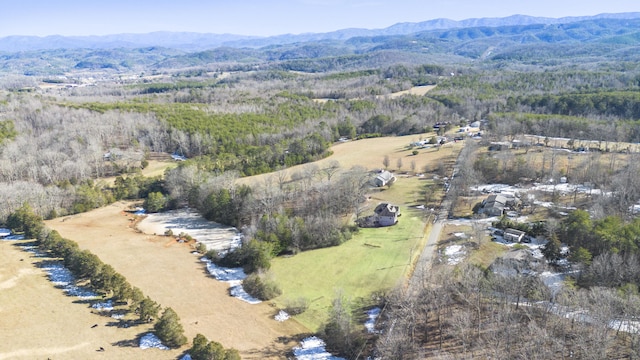 246 Akins Rd, Tellico Plains, TN 37385 - photo 14