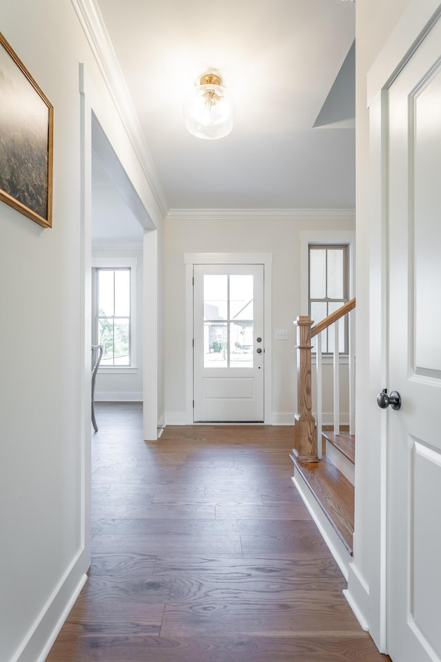 doorway to outside featuring ornamental molding and dark hardwood / wood-style floors