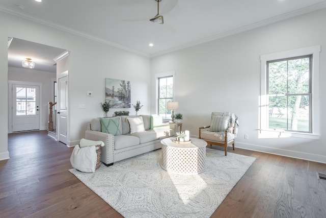 living room featuring hardwood / wood-style floors, crown molding, and a healthy amount of sunlight