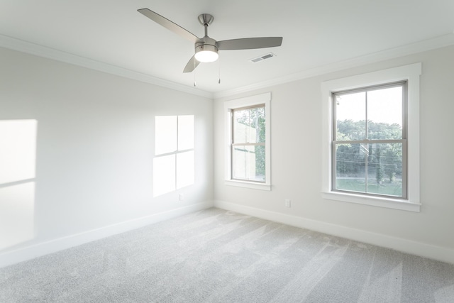 spare room featuring crown molding, ceiling fan, and carpet floors