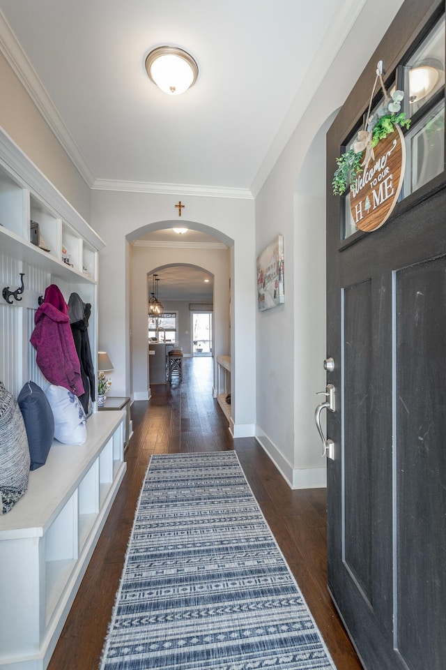 mudroom with dark wood-type flooring and ornamental molding